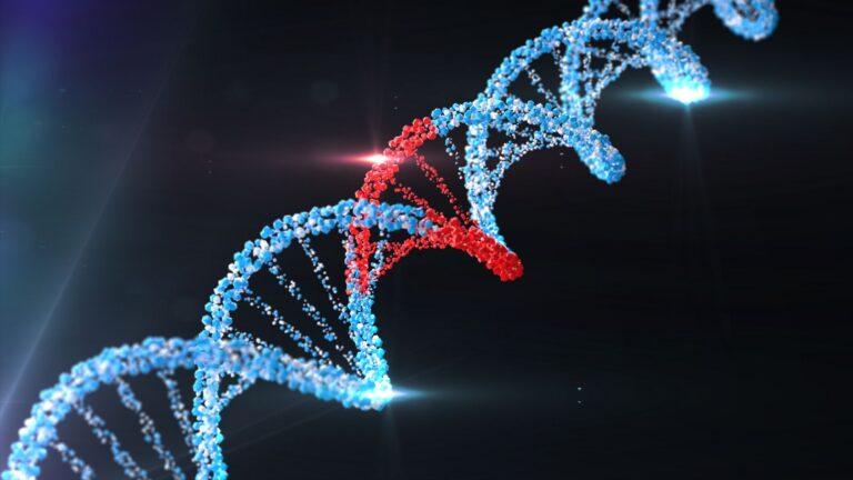 3D DNA double helix with a highlighted red DNA sequence representing genetic research and oligonucleotide synthesis.